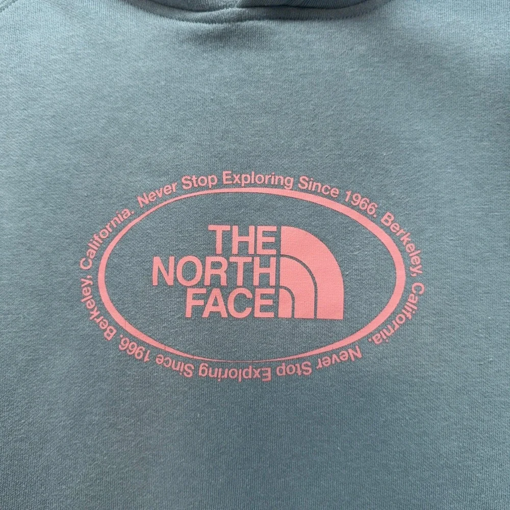 The North Face Hoodie Womens Large Blue Graphic Pullover Fleece Sweatshirt